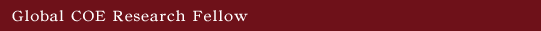 Global COE Research Fellow