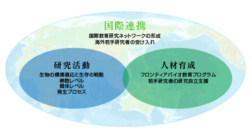 国際連携の模式図